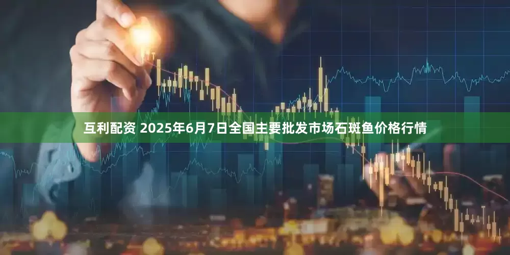 互利配资 2025年6月7日全国主要批发市场石斑鱼价格行情